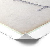 Het menselijk skelet, lateraal uitzicht, uit de se poster (Hoek)