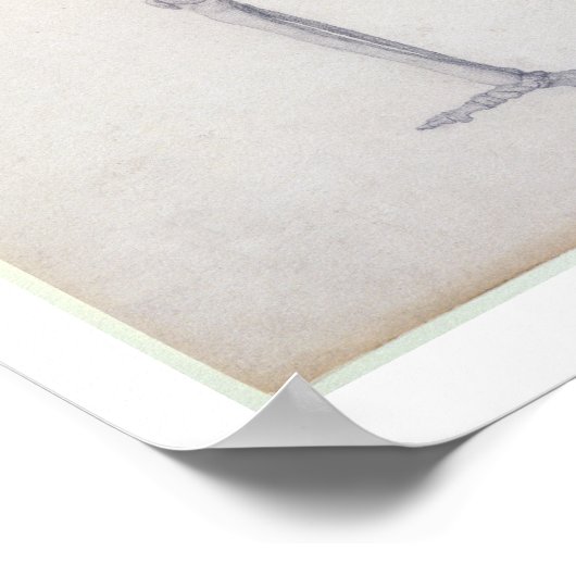 Het menselijk skelet, lateraal uitzicht, uit de se poster (Hoek)