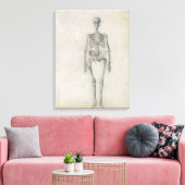 Het menselijk skelet, voorste uitzicht, uit de ser canvas afdruk (Insitu (Woonkamer))