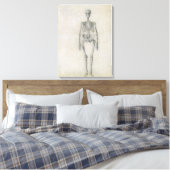 Het menselijk skelet, voorste uitzicht, uit de ser canvas afdruk (Insitu (Slaapkamer))