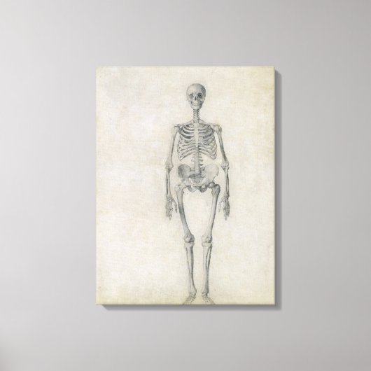 Het menselijk skelet, voorste uitzicht, uit de ser canvas afdruk (Voorkant)