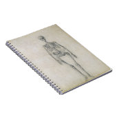 Het menselijk skelet, voorste uitzicht, uit de ser notitieboek (Rechterzijde)