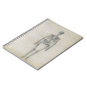 Het menselijk skelet, voorste uitzicht, uit de ser notitieboek (Linkerzijde)