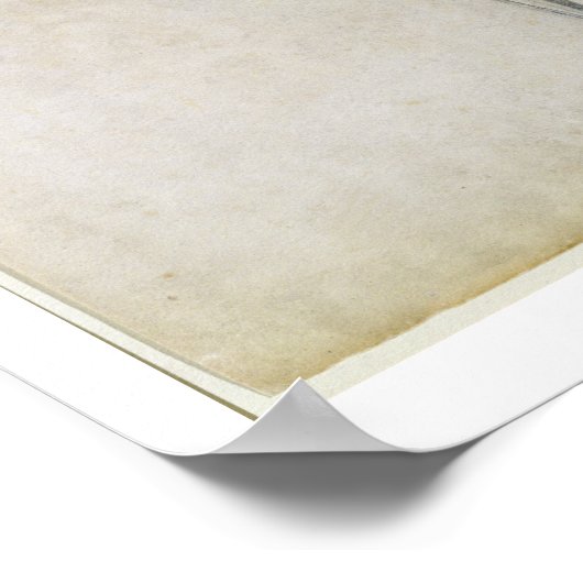 Het menselijk skelet, voorste uitzicht, uit de ser poster (Hoek)