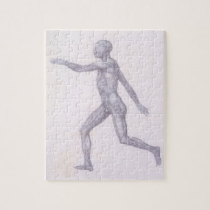 Het menselijke cijfer, lateraal uitzicht, uit de r legpuzzel