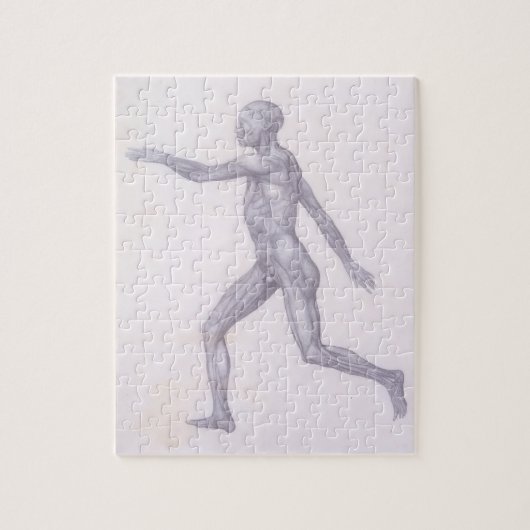 Het menselijke cijfer, lateraal uitzicht, uit de r legpuzzel (Verticaal)