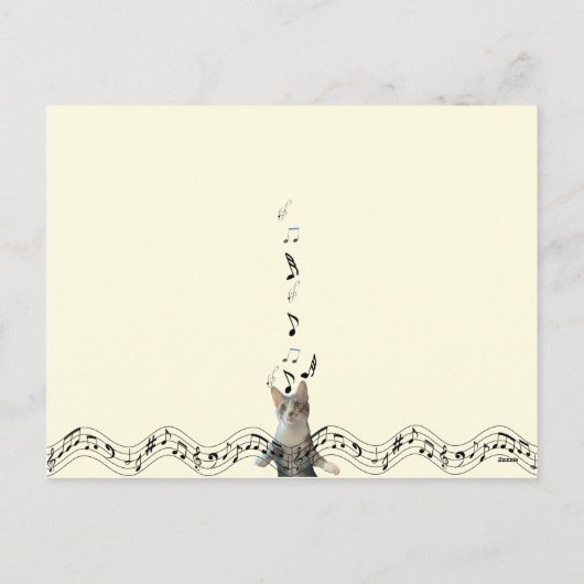 Het Meowy Musical Briefkaart (Achterkant)