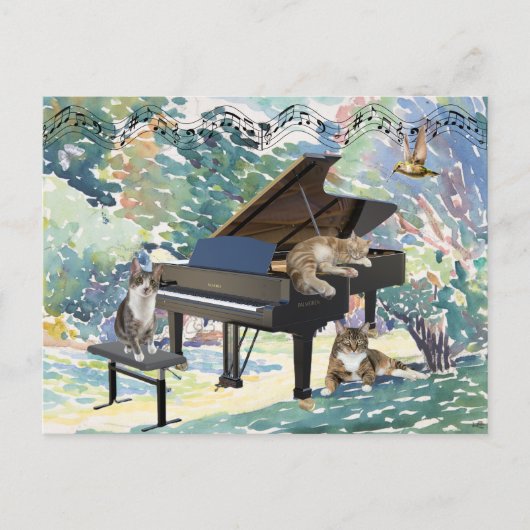 Het Meowy Musical Briefkaart (Voorkant)