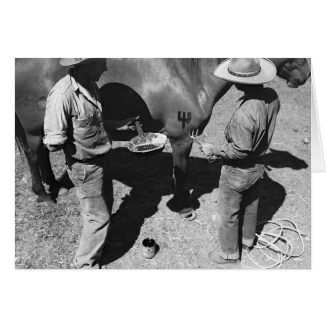 Het merken van paarden met het merk pitchfork (Voorkant Horizontaal)