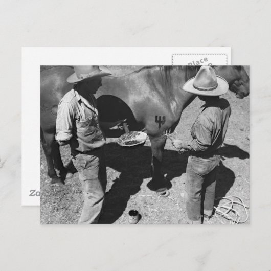 Het merken van paarden met het merk pitchfork briefkaart (Voorkant / Achterkant)