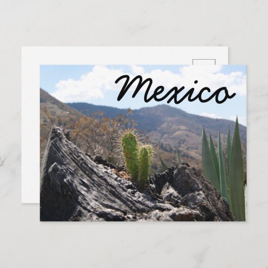 Het Mexicaanse berglandschap Cactus Briefkaart (Voorkant / Achterkant)