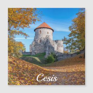 Het middeleeuws kasteel omgeven door de bosmagneet