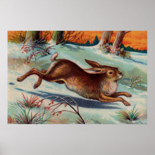 Het Middelgrote Poster van het Konijn van december