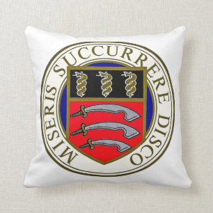 Het Middlesex-ziekenhuis Kussen