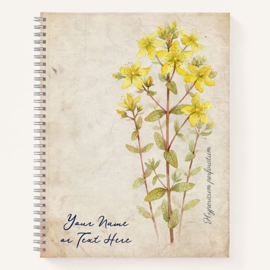 Het midzomer geheim: Hypericum Perforatum Notitieboek (Voorkant)
