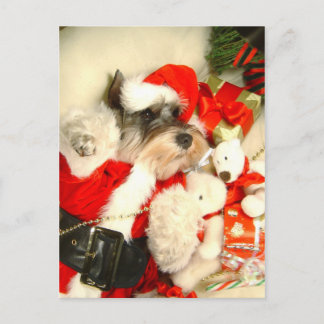 Het mini Briefkaart van Schnauzer X'mas