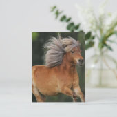 Het miniatuur Lopen van het Paard Briefkaart (Staand voorkant)