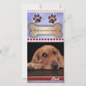 Het missen van het malplaatje van de hondfoto (Voorkant)