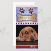 Het missen van het malplaatje van de hondfoto (Voorkant / Achterkant)