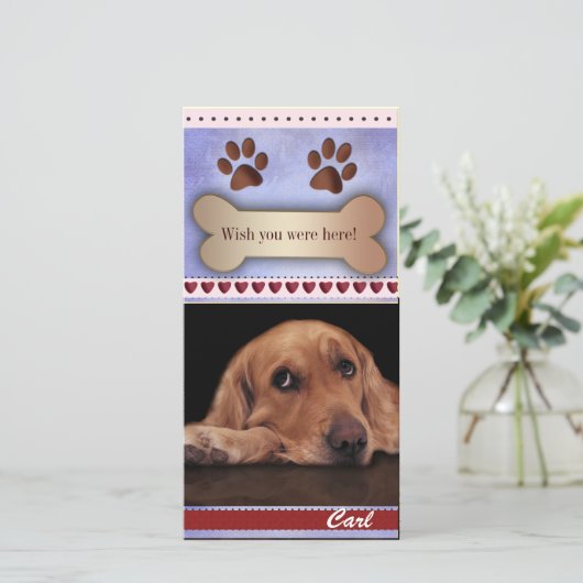 Het missen van het malplaatje van de hondfoto (Staand voorkant)