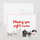 Het missen van je juiste manier briefkaart (Voorkant / Achterkant)