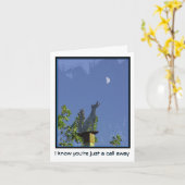 Het missen van u--Een enkel Vraag weg--Coyote en Kaart (Gele Bloem)