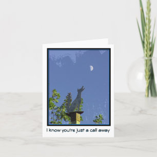 Het missen van u--Een enkel Vraag weg--Coyote en Kaart