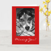 Het missen van u! kaart (Gele Bloem)