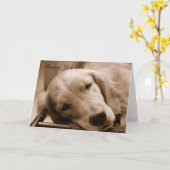 Het missen van u kaart (Gele Bloem)