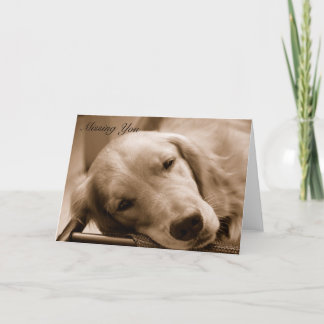 Het missen van u kaart