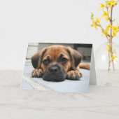 Het missen van u kaart (Gele Bloem)