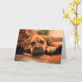 Het missen van u kaart (Gele Bloem)