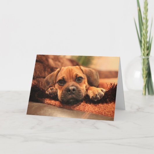 Het missen van u kaart (Voorkant)