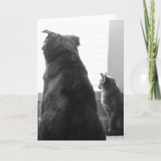 Het missen van u kaart (Voorkant)