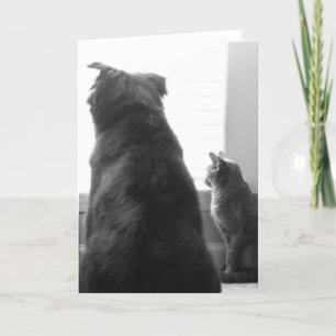 Het missen van u kaart