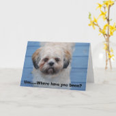 Het missen van u kaart (Gele Bloem)