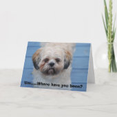 Het missen van u kaart (Voorkant)