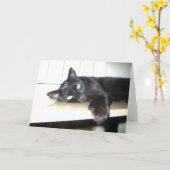 Het missen van u kaart (Gele Bloem)