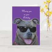 Het missen van u op uw Blauwe pitbull van de Kaart (Gele Bloem)