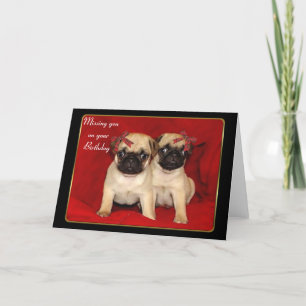 Het missen van u op uw wenskaart van de puppies va kaart