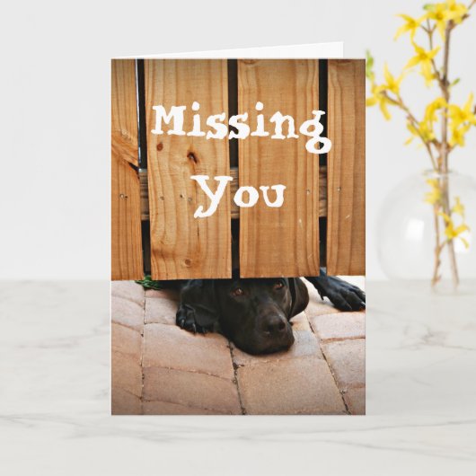 Het missen van u (Zwart Laboratorium) Kaart (Gele Bloem)