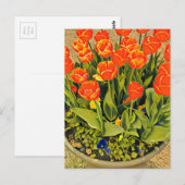 Het moderne bloemenfestival Tulps Briefkaart (Voorkant / Achterkant)