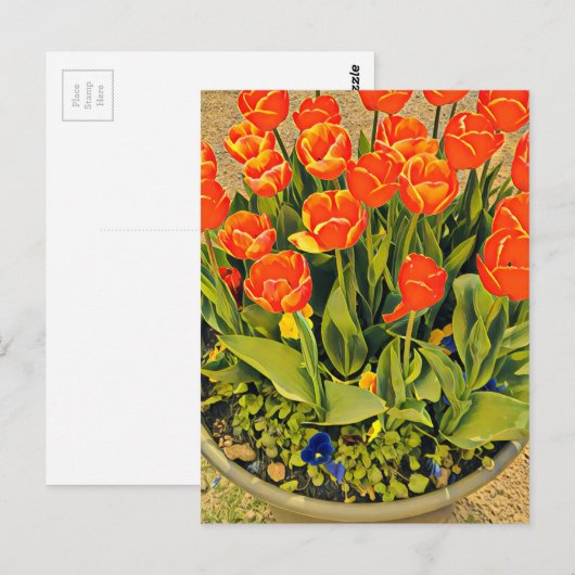 Het moderne bloemenfestival Tulps Briefkaart (Voorkant / Achterkant)