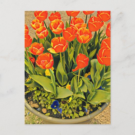 Het moderne bloemenfestival Tulps Briefkaart (Voorkant)