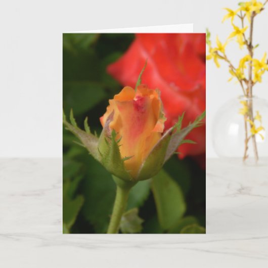 Het moederdag nam Kaart toe (Gele Bloem)