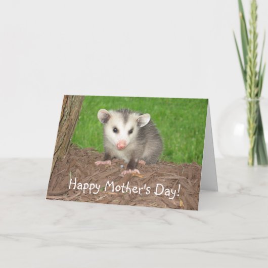 Het Moederdag van de Opossum van het baby Kaart (Voorkant)