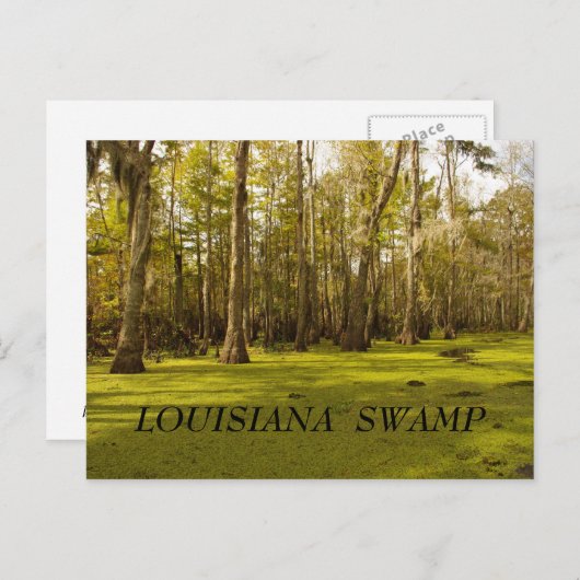 Het Moeras van Louisiane (La), het MOERAS van Briefkaart (Voorkant / Achterkant)