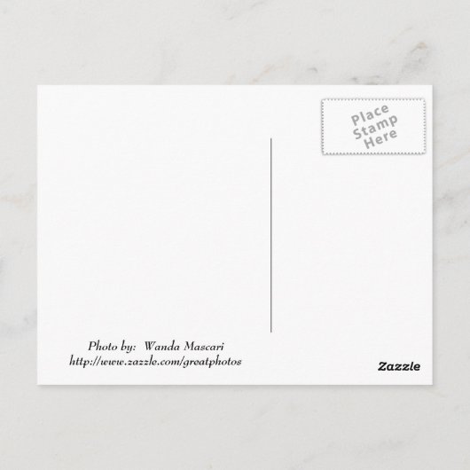 Het Moeras van Louisiane (La), het MOERAS van Briefkaart (Achterkant)