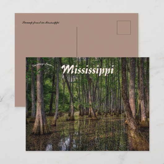 Het moerasbos in Mississippi Briefkaart (Voorkant / Achterkant)