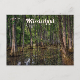 Het moerasbos in Mississippi Briefkaart
